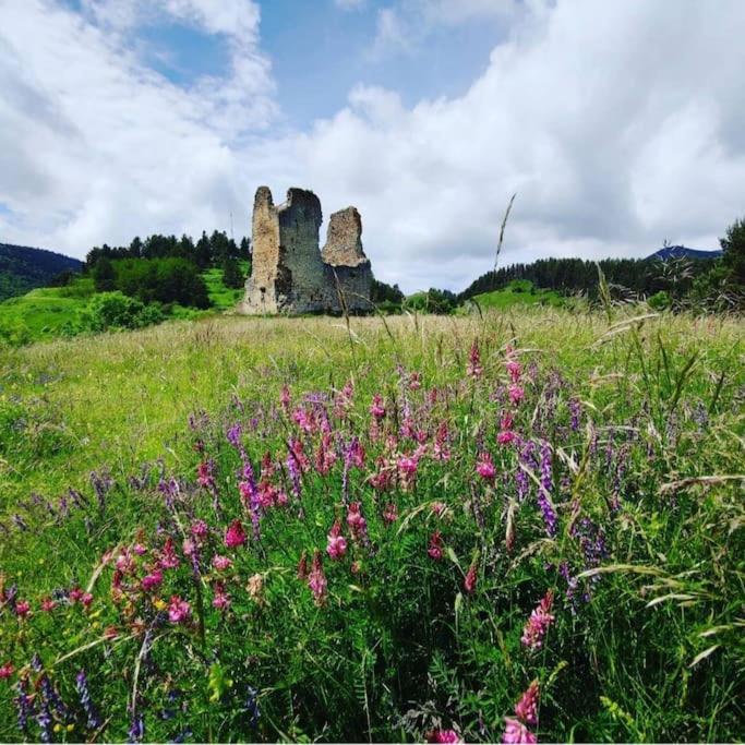 Gite L'Enclos O Rendez-Vous Roquefeuil-Pays De Sault- Avec Jardin Luaran gambar