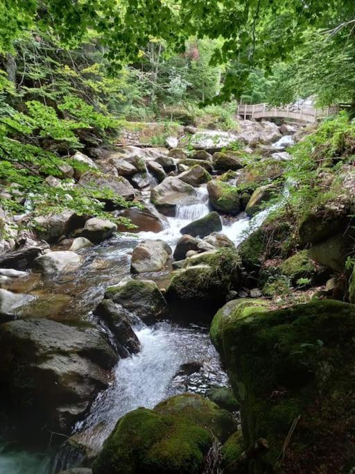 Gite L'Enclos O Rendez-Vous Roquefeuil-Pays De Sault- Avec Jardin Luaran gambar