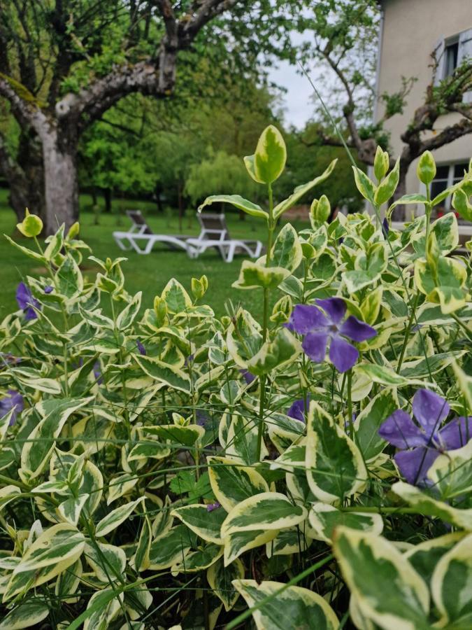 Gite L'Enclos O Rendez-Vous Roquefeuil-Pays De Sault- Avec Jardin Luaran gambar